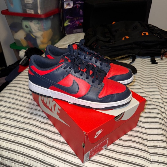 Nike Other - Nike dunks size 12